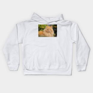 Ginger cat Kids Hoodie